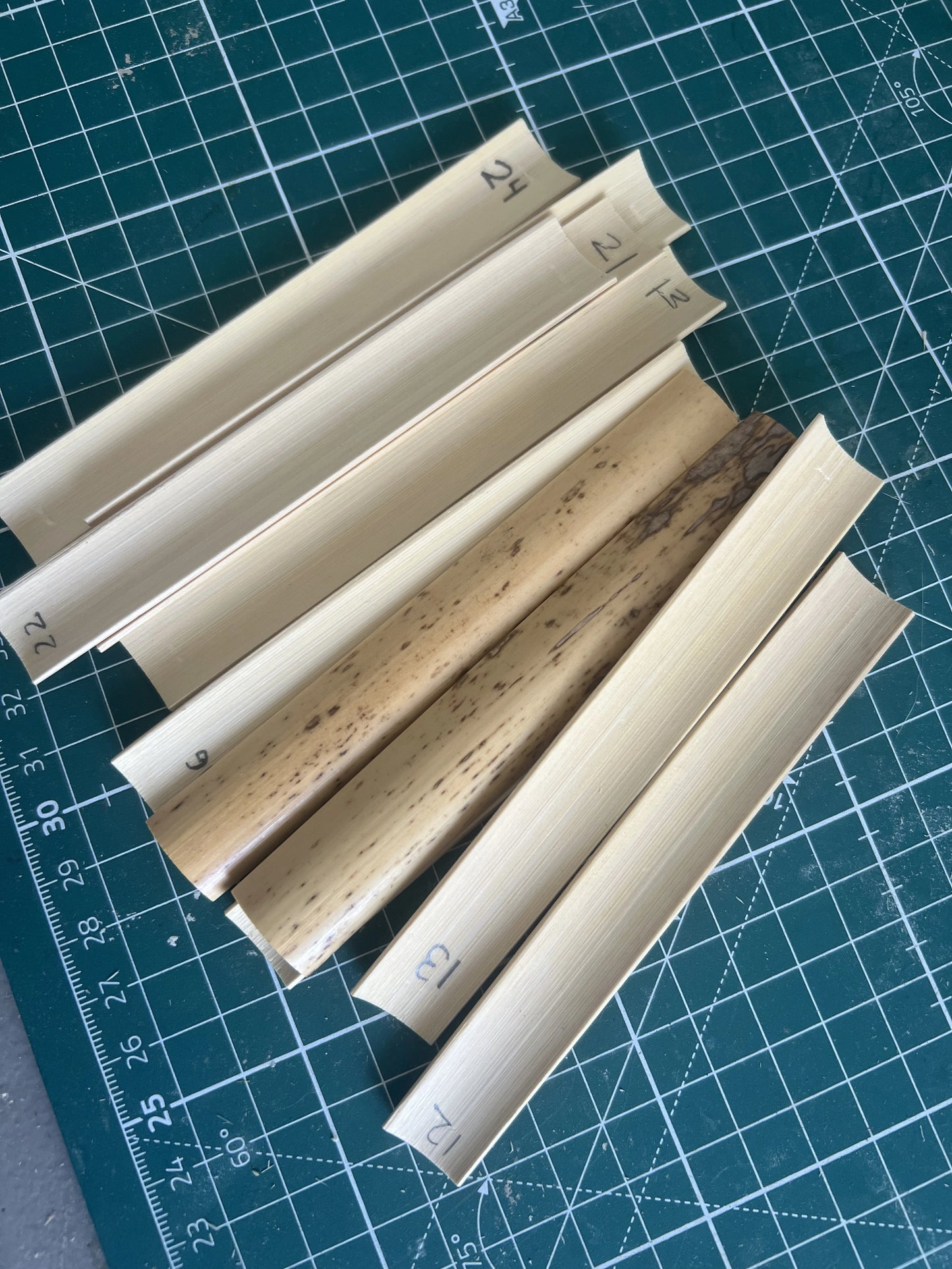 Hand-selected gouged bassoon cane pieces by Harter Reed Co., 1.30mm eccentric gouge
