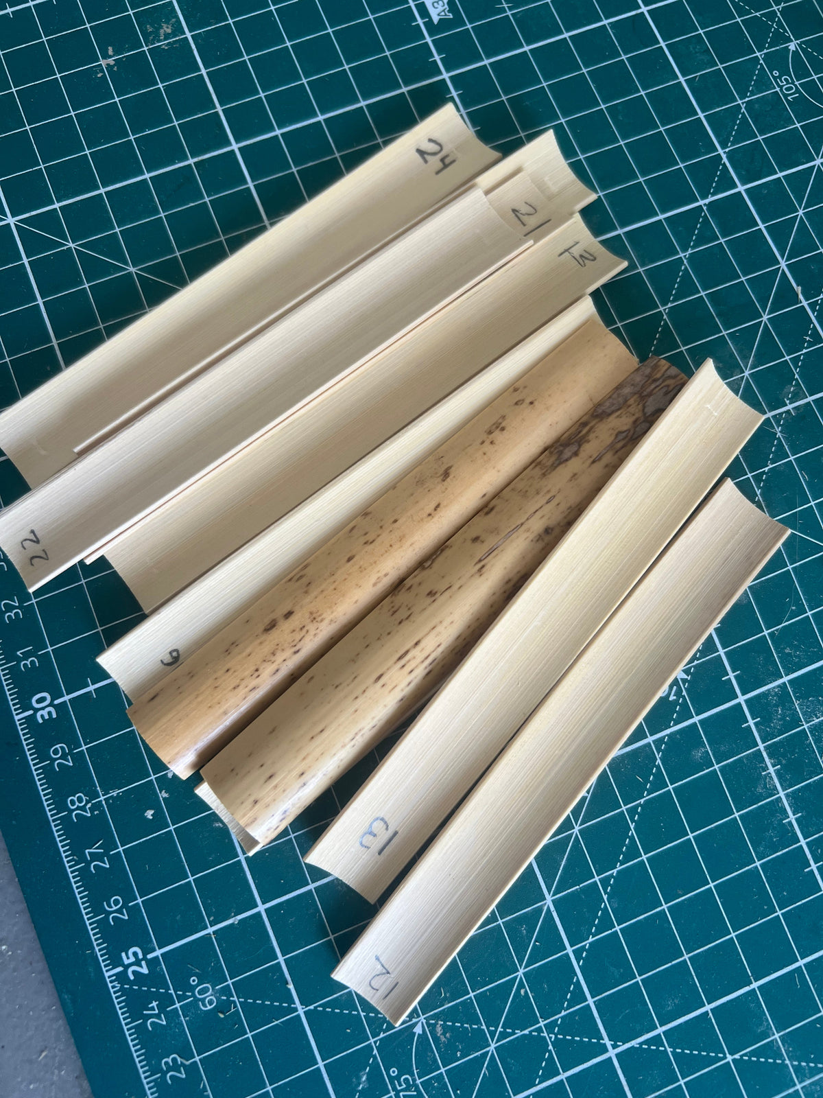 Processed Cane Handmade Bassoon Reeds & Blanks | Harter Reed Co.
