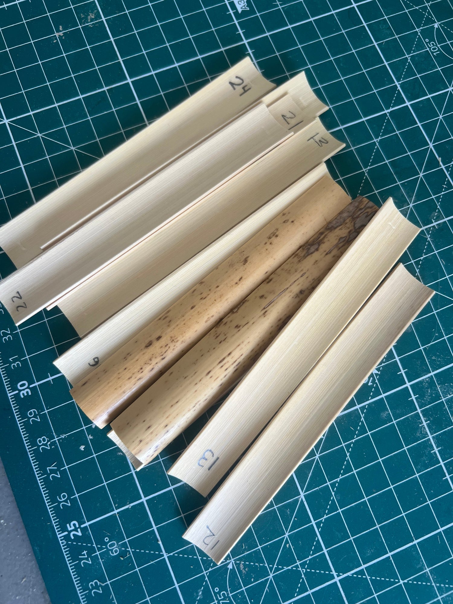 Processed Cane