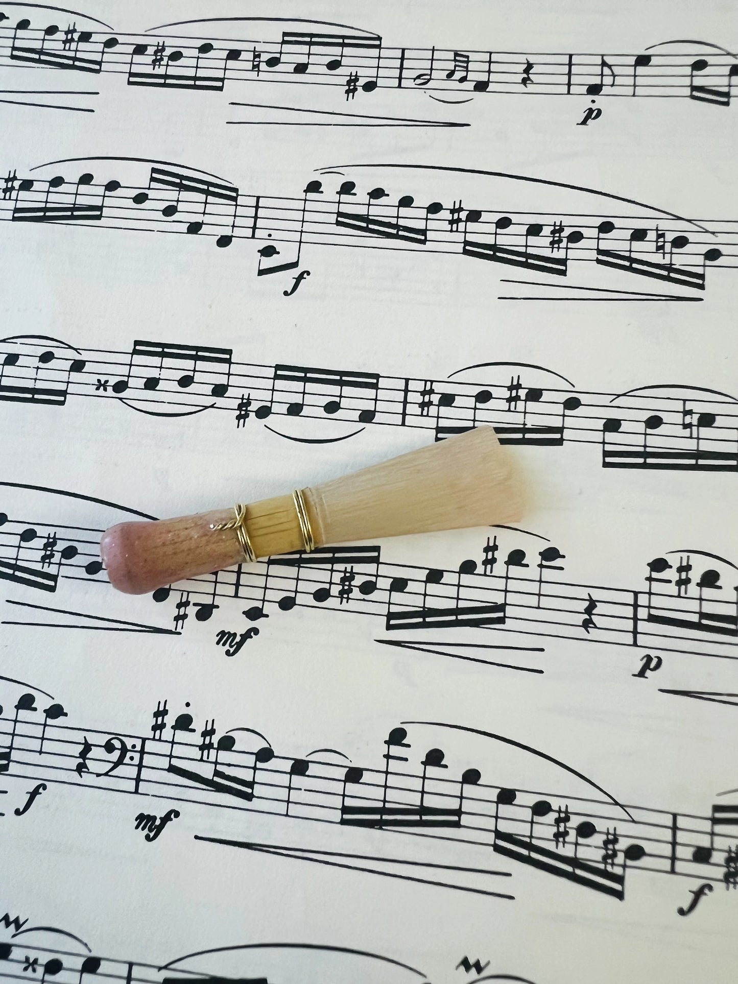 Close-up of traditional scrape bassoon reed tip showing chisel tip profile by Harter Reed Co.