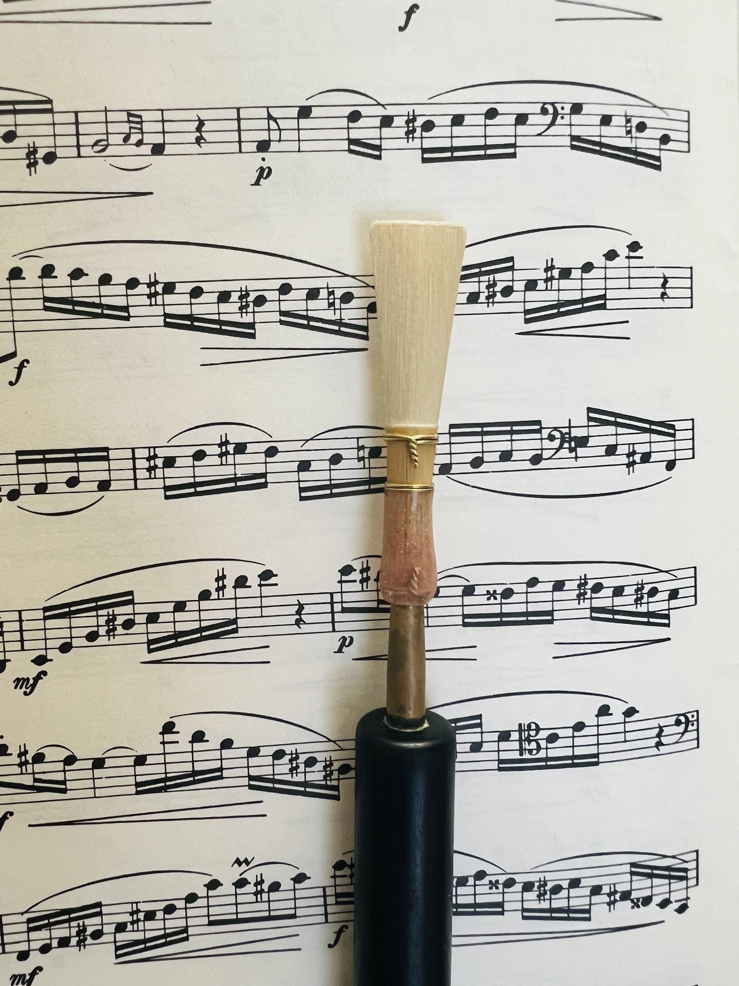 Traditional scrape bassoon reed by Robbie Harter showing full length and wire wrapping