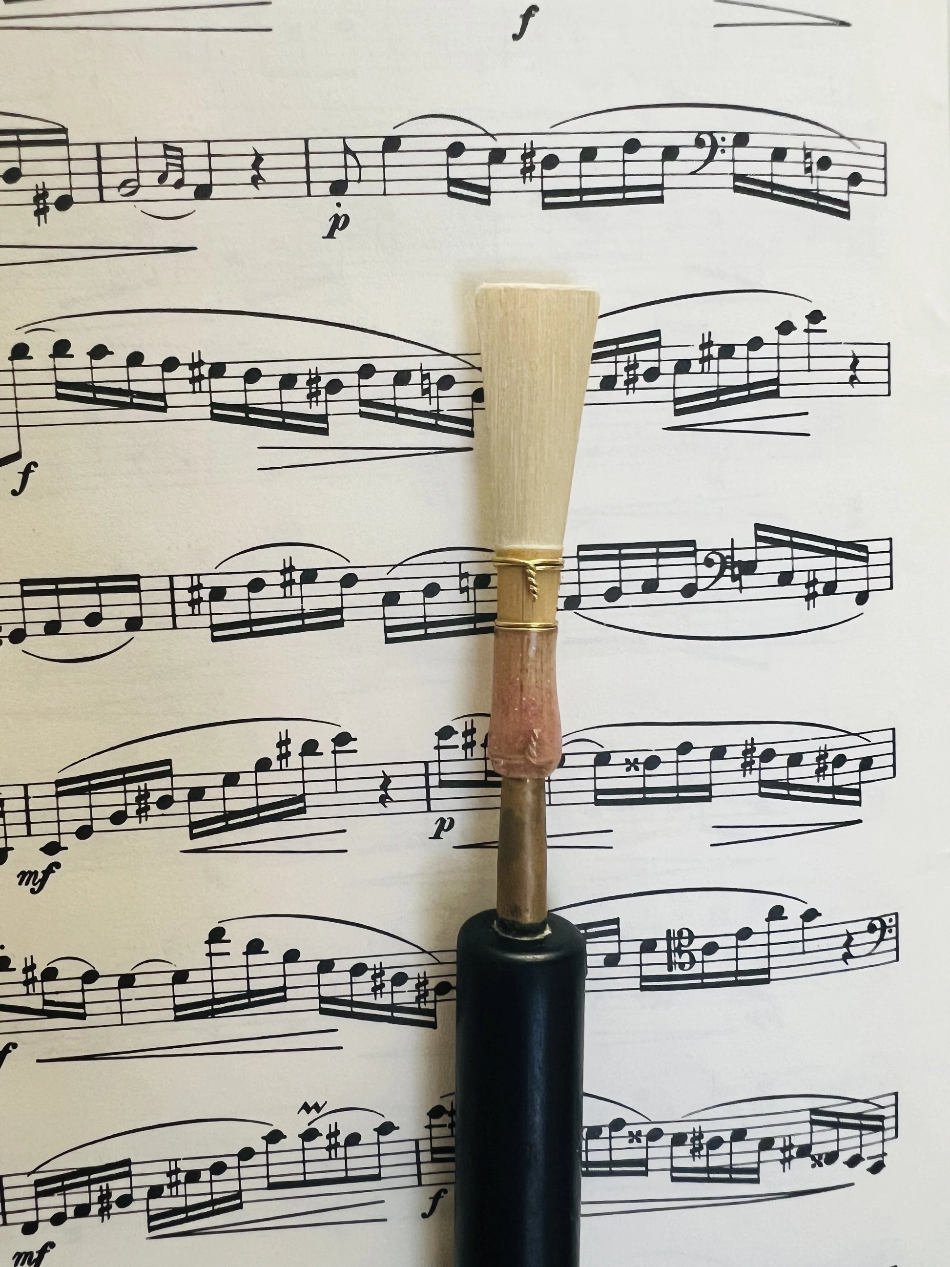 Traditional scrape bassoon reed by Robbie Harter showing full length and wire wrapping